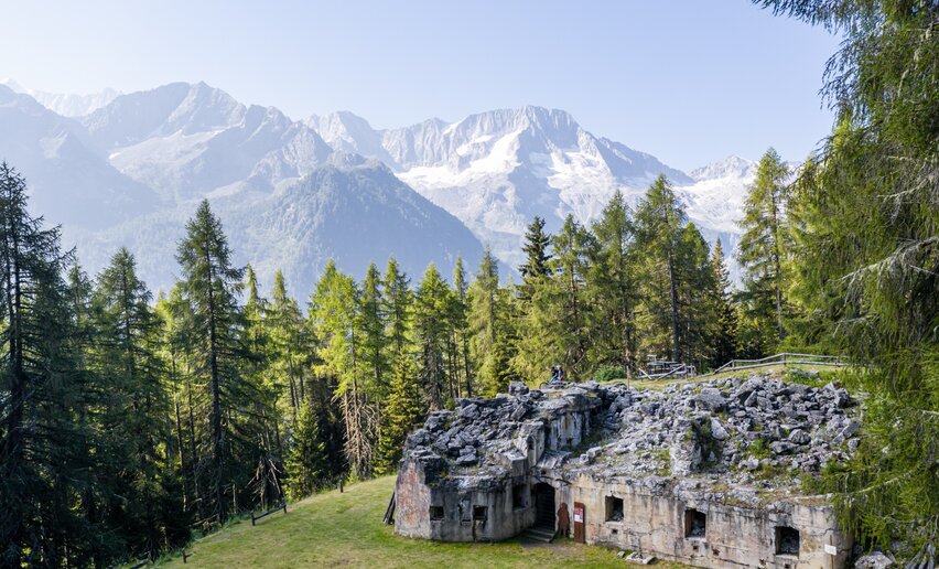 Forte Zaccarana | © G. Podetti, APT Valli di Sole, Peio e Rabbi