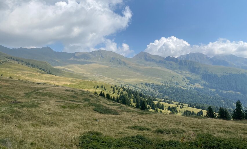 Alta via degli alpeggi | © Archivio APT Val di Sole