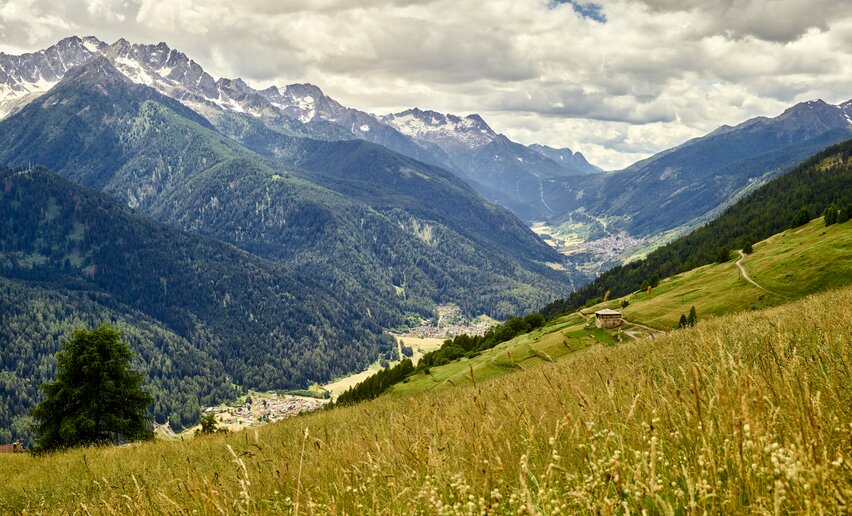 Panorama Menas | © Archivio APT Val di Sole - ph Carlo Baroni