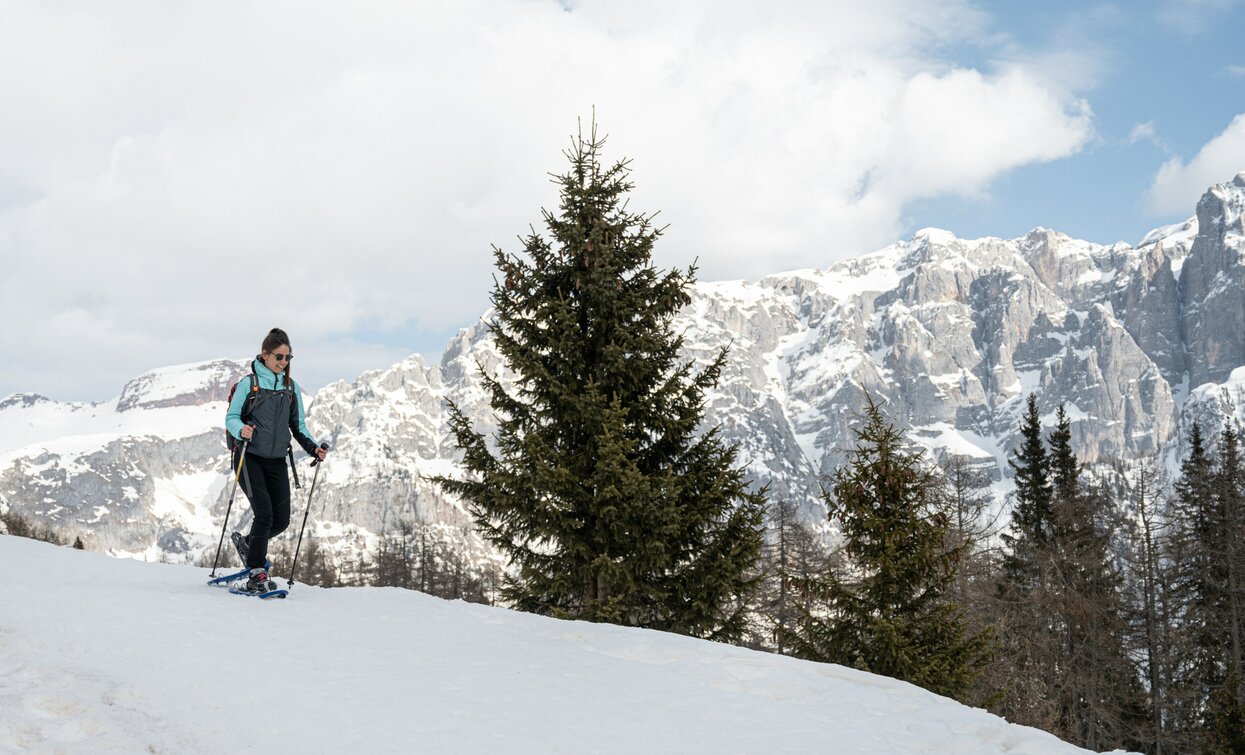 Ciaspole Baita Ciocomiti Malga Vigo | © Archivio APT Val di Sole - Ph Elisa Fedrizzi Ciaspole Baita Ciocomiti Malga Vigo | © Archivio APT Val di Sole - Ph Elisa Fedrizzi