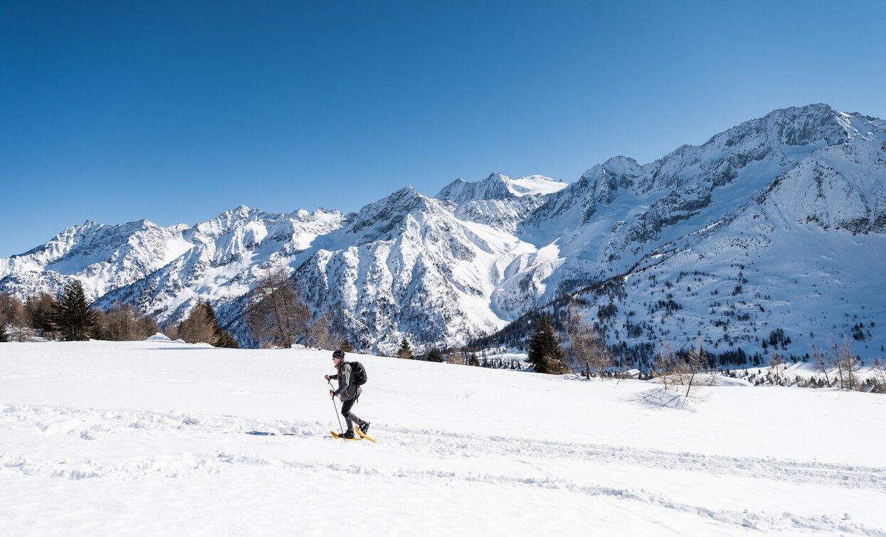 Itinerario ciaspole Farinel a Passo Tonale | © Archivio APT Val di Sole - Ph Giacomo Podetti Itinerario ciaspole Farinel a Passo Tonale | © Archivio APT Val di Sole - Ph Giacomo Podetti